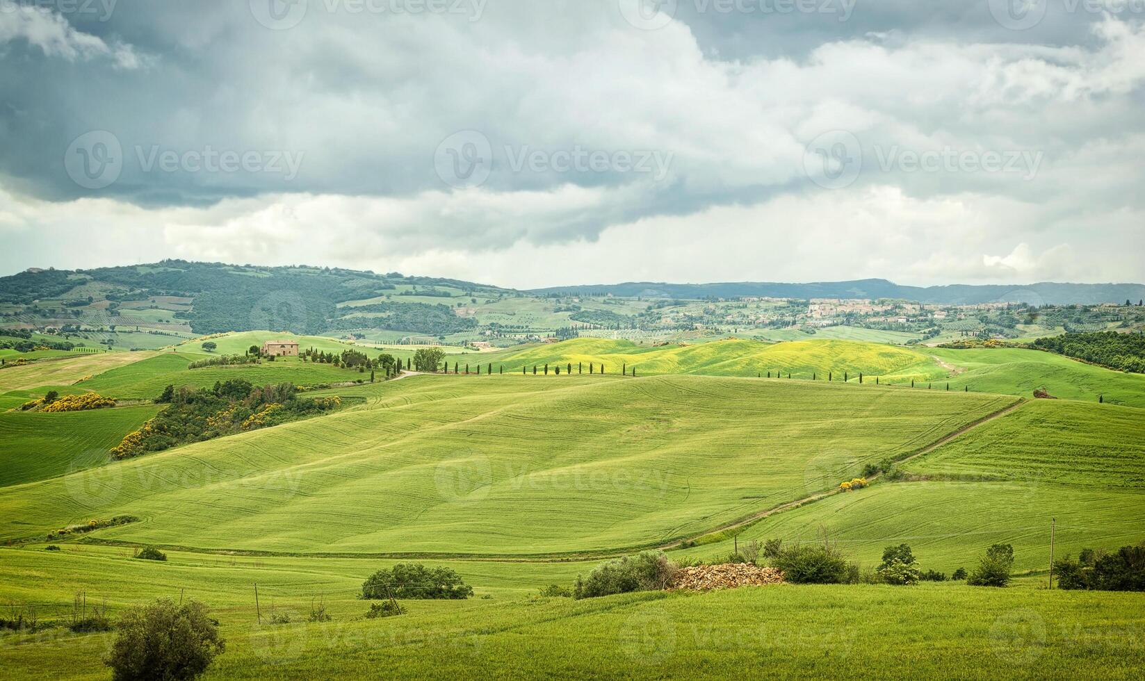 tipico paesaggio delle colline toscane in italia foto