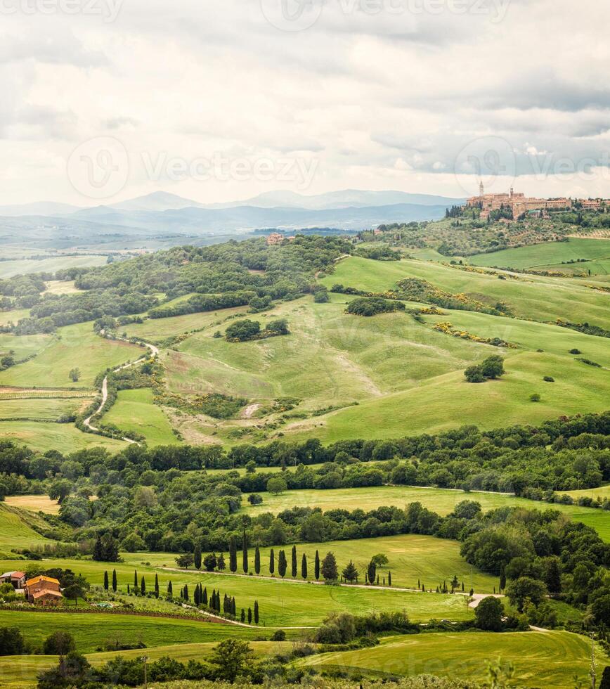 Visualizza di il cittadina di pienza con il tipico toscana colline foto