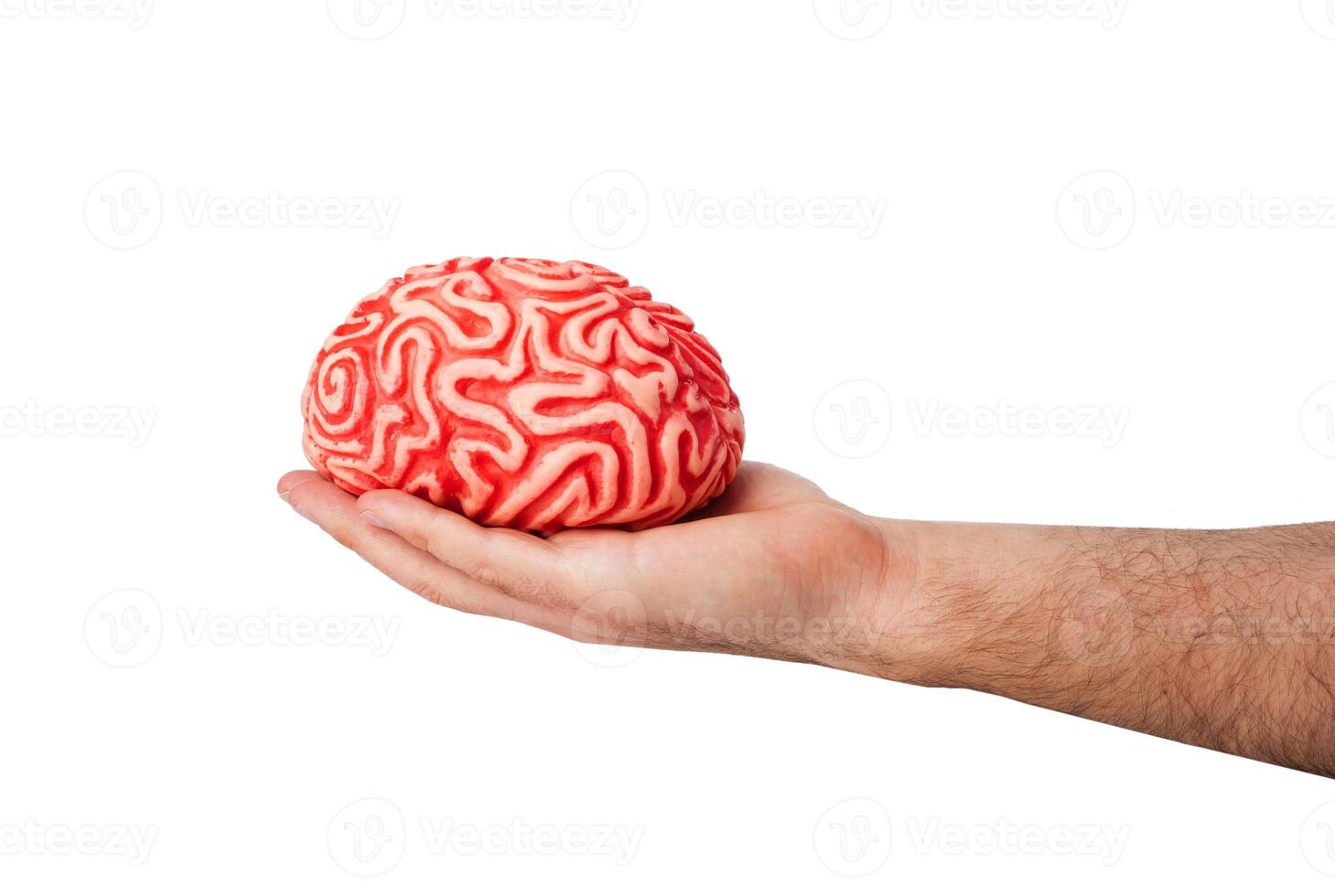 umano gomma da cancellare cervello nel un' mano foto
