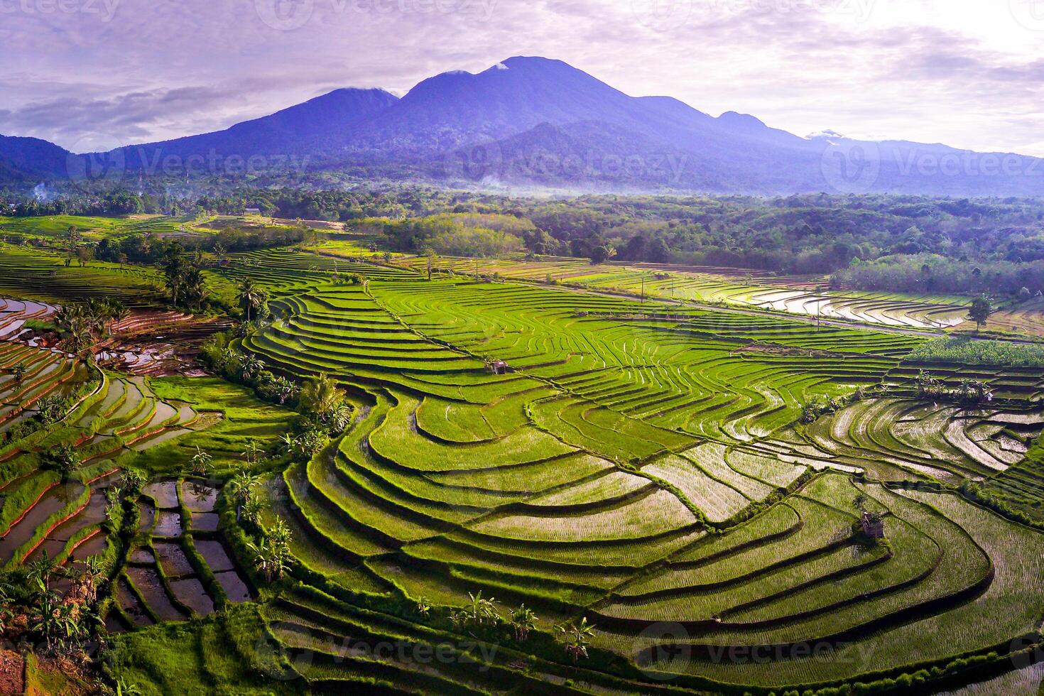 Visualizza di Indonesia nel il mattina, verde riso campi, sole crescente brillantemente al di sopra di il montagna foto