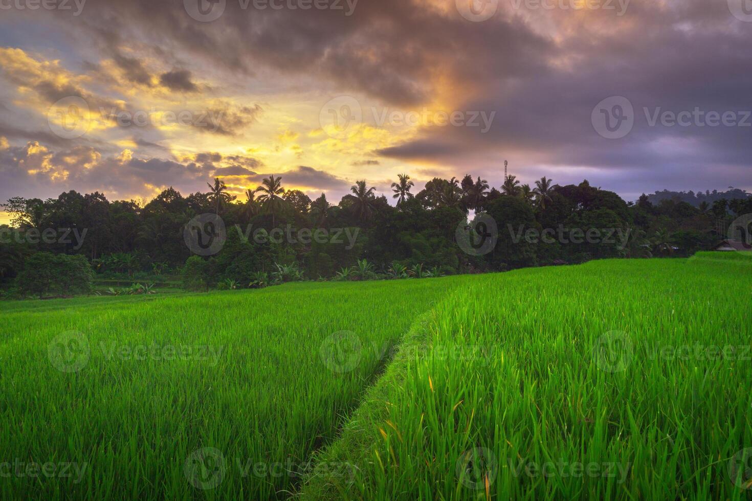 bellissimo mattina Visualizza a partire dal Indonesia di montagne e tropicale foresta foto