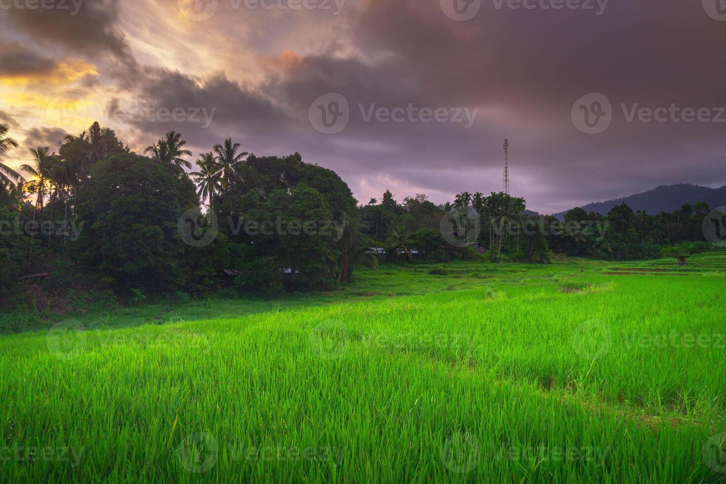 bellissimo mattina Visualizza a partire dal Indonesia di montagne e tropicale foresta foto