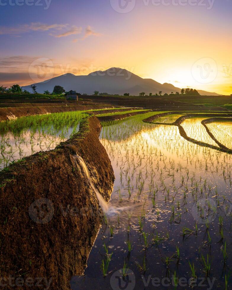 bellissimo mattina Visualizza a partire dal Indonesia di montagne e tropicale foresta foto