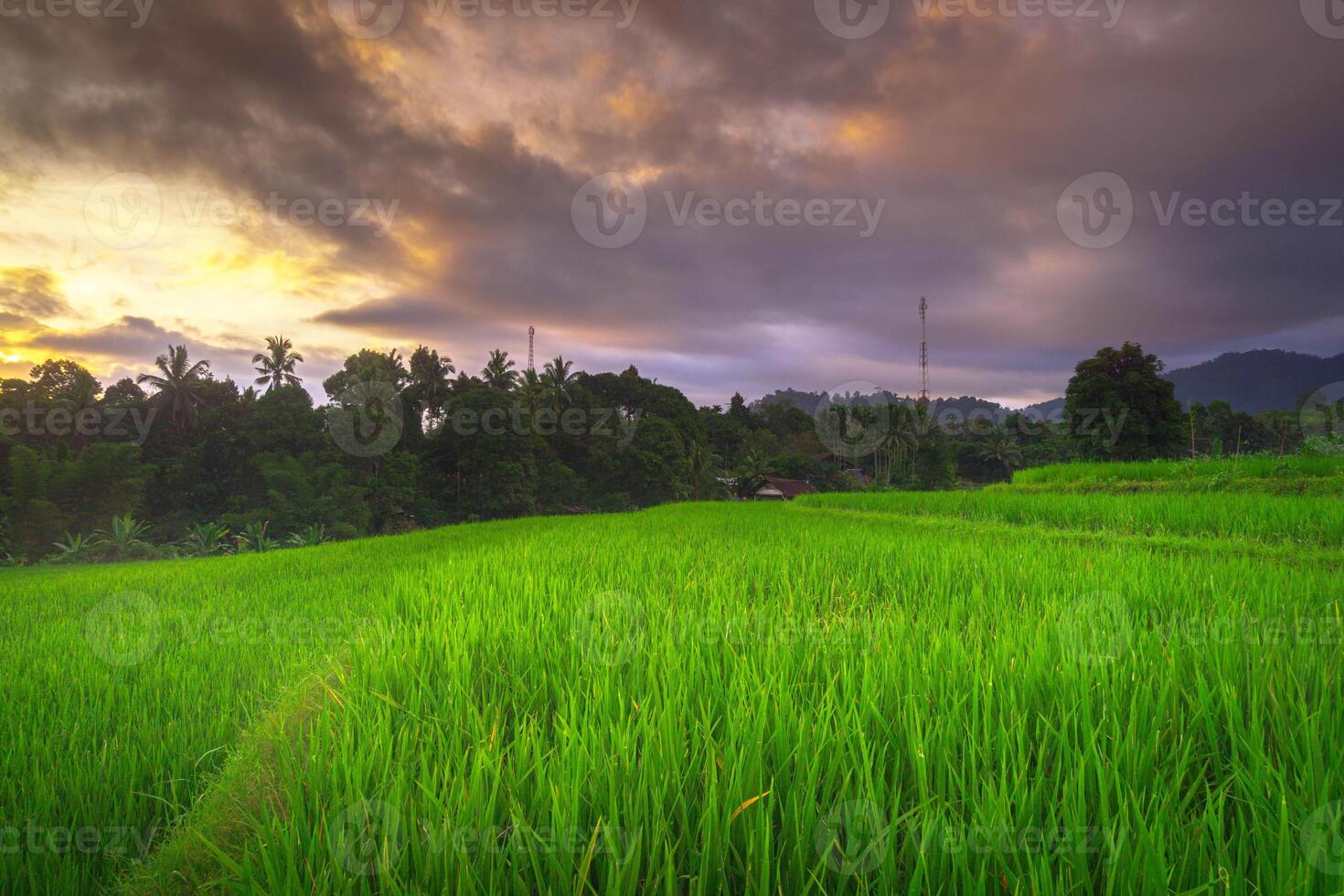 bellissimo mattina Visualizza a partire dal Indonesia di montagne e tropicale foresta foto