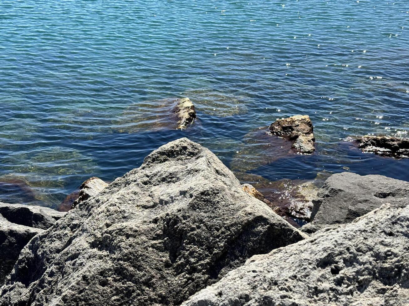 albero frammenti a partire dal acqua. mare paesaggio con rocce. blu mare acqua. rocce sotto acqua foto
