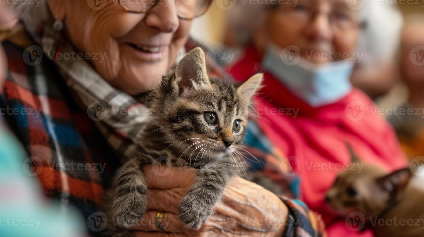 un' la pensione Comunità residente detiene un' piccolo gattino nel loro giro circondato di vario anziano individui giocando con altro gatti e cani portato nel a partire dal un' Locale riparo foto