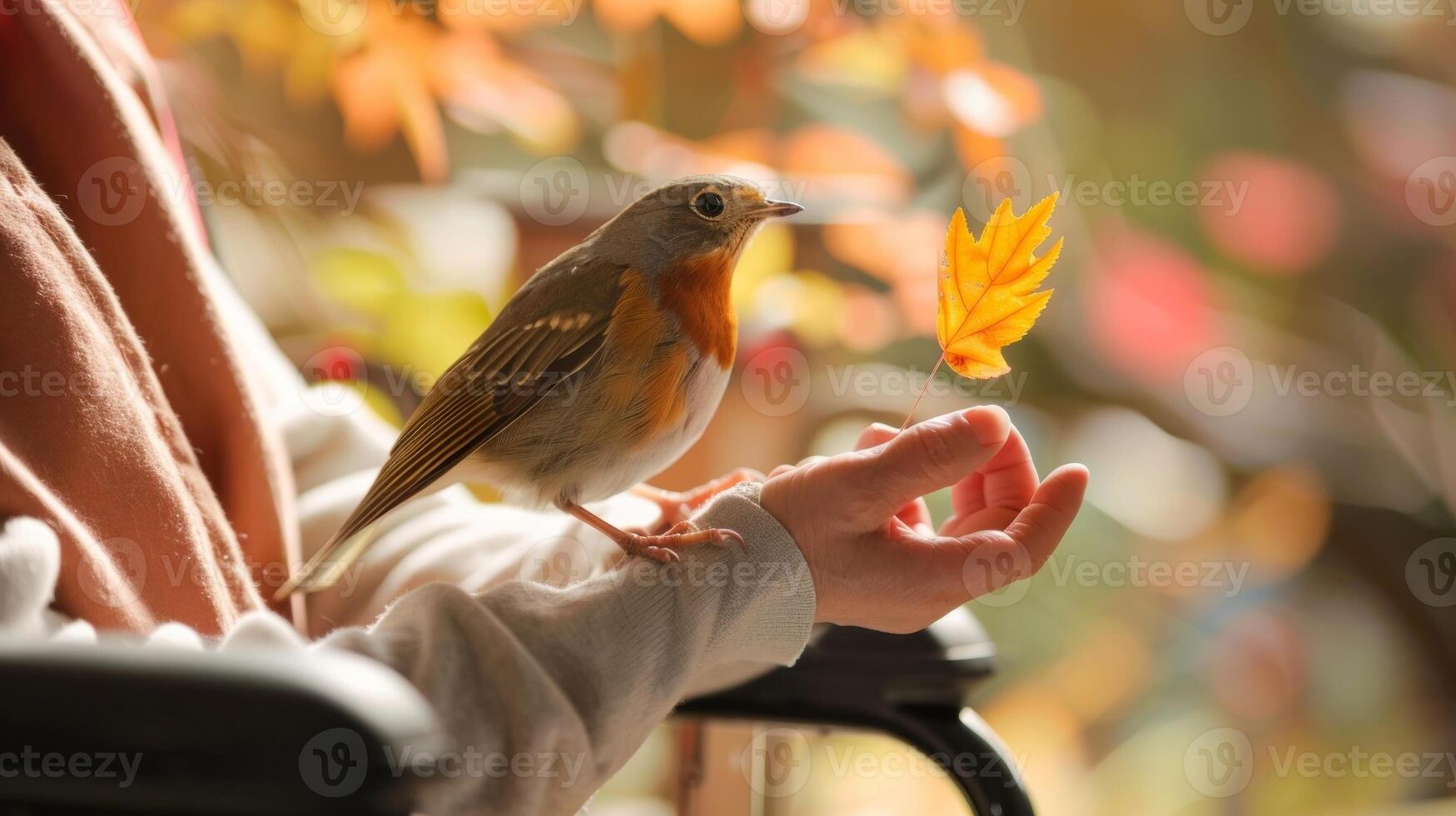 un' persona nel un' sedia a rotelle Tenere un' uccello su loro dito il semplice atto di alimentazione esso portando un' senso di pace e gioia foto