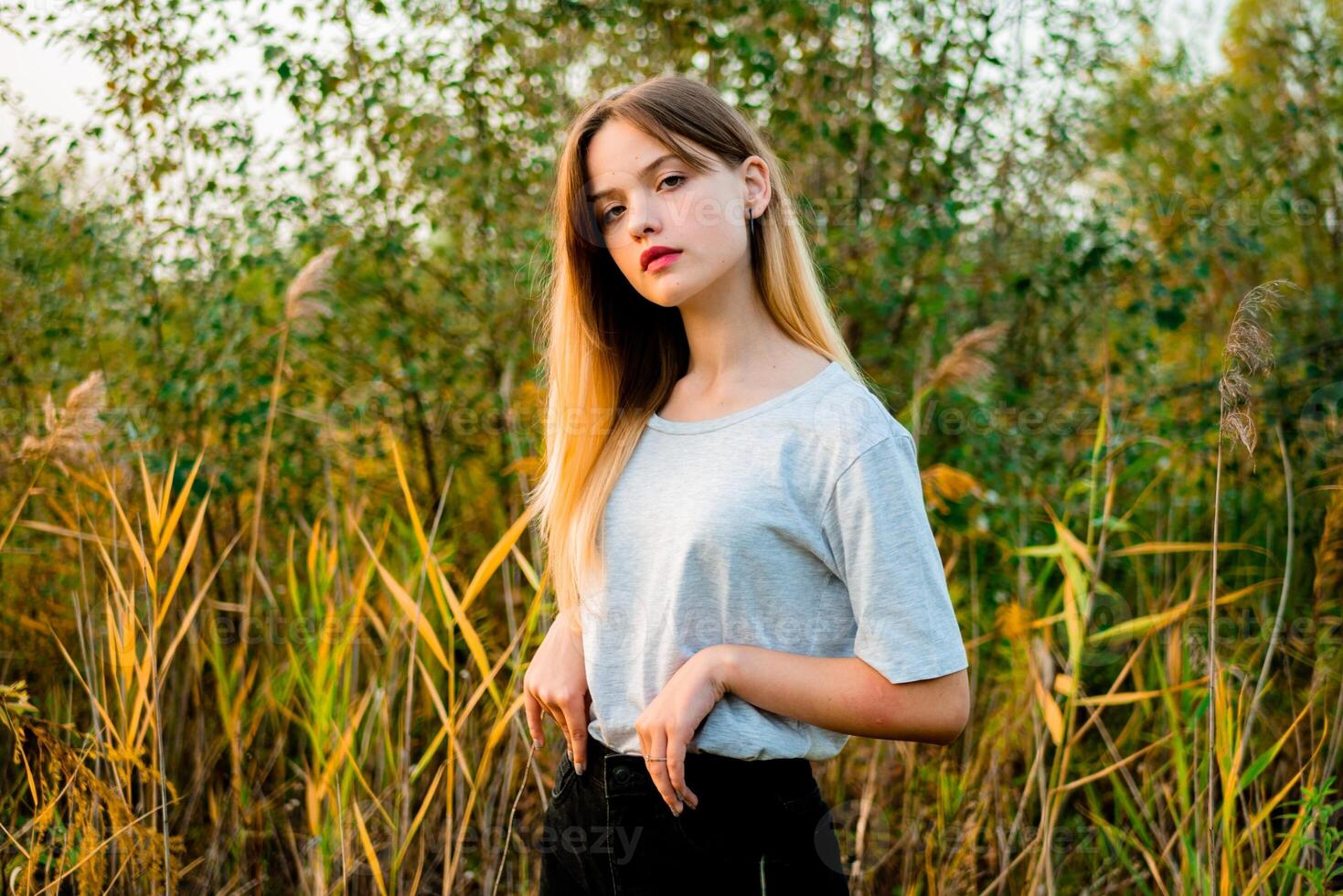 bellissimo giovane ragazza indossare vuoto grigio maglietta e nero jeans in posa contro alto verde e giallo erba nel presto caldo autunno. all'aperto ritratto di bellissimo femmina modello foto