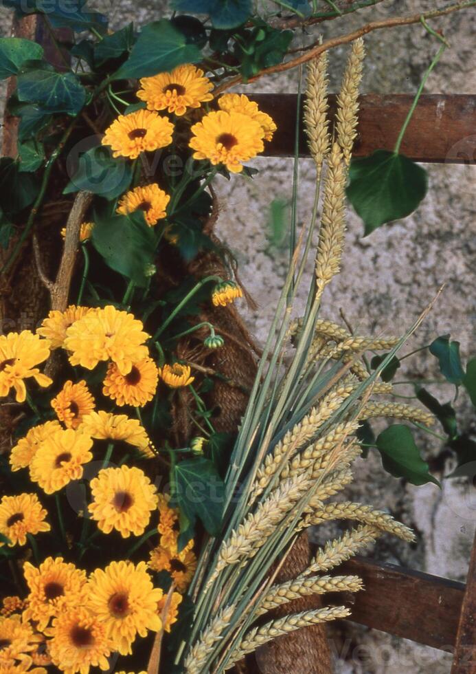 un' cestino con giallo fiori e Grano foto