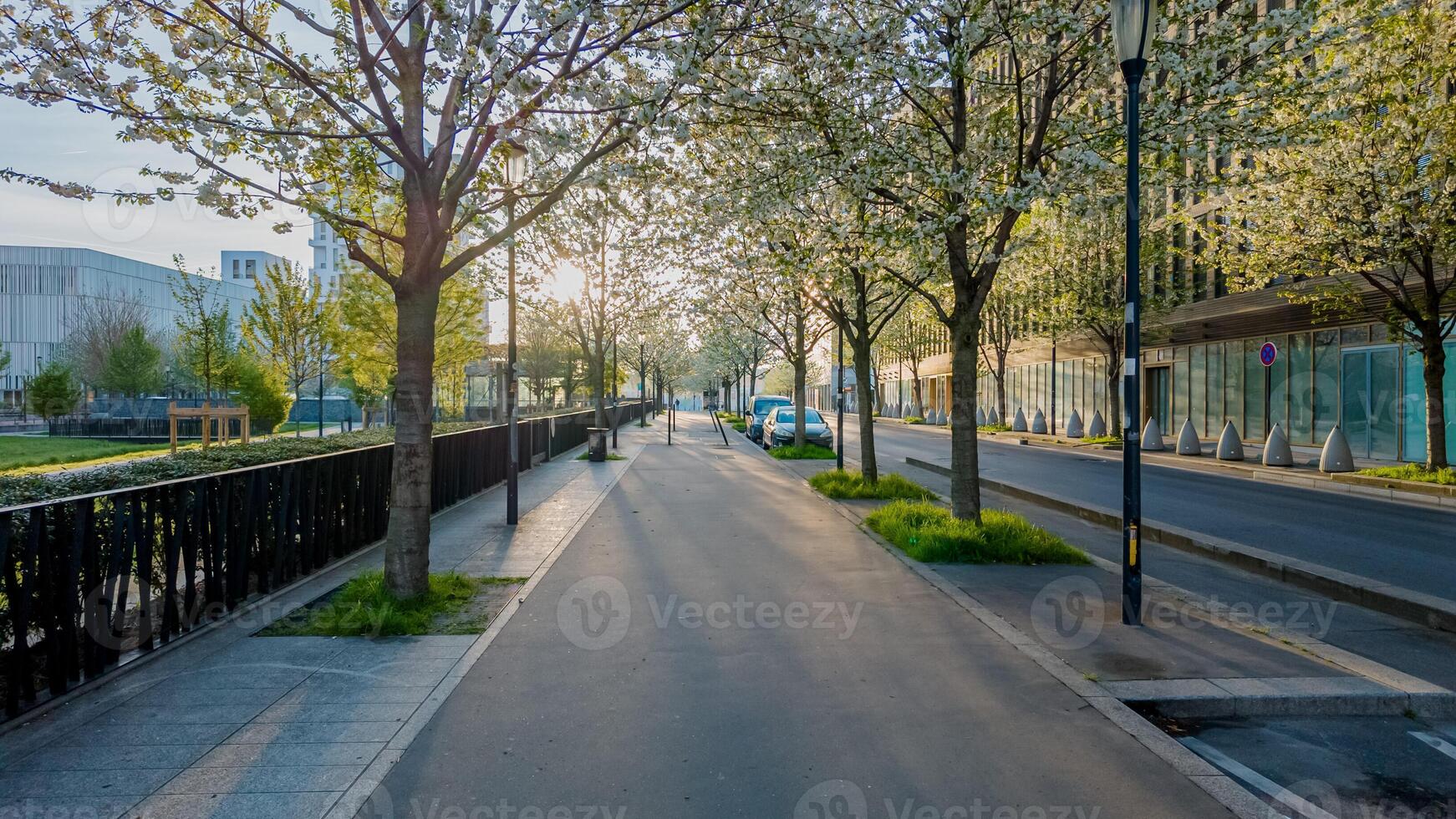 sereno primavera mattina su un' albero foderato urbano strada con fioritura fiori, simboleggiante rinnovo e terra giorno, Perfetto per di stagione concetti e città pianificazione temi foto