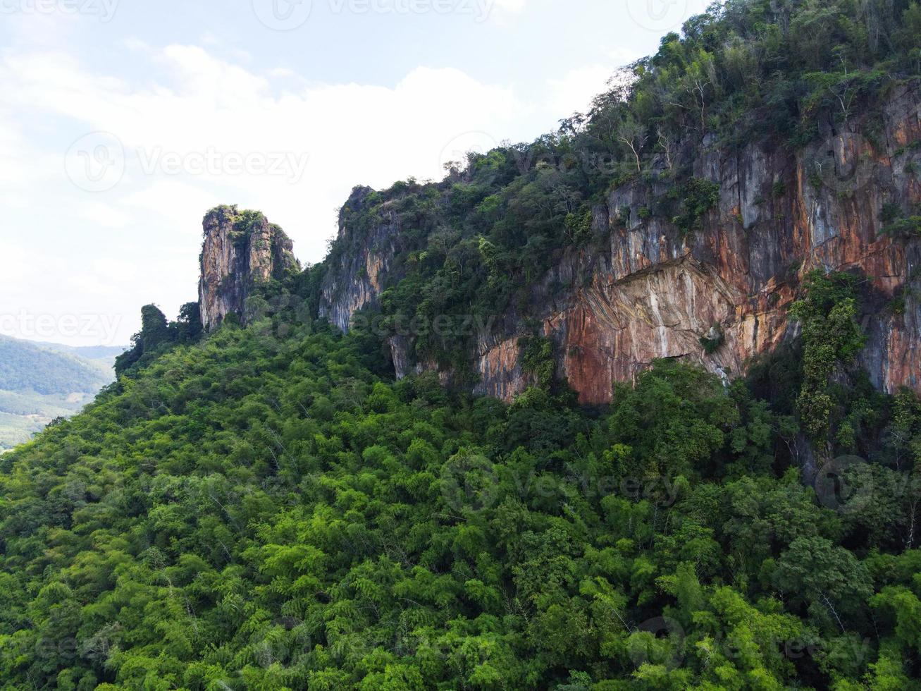 foresta di bambù sulla scogliera di montagna con albero verde, pietra naturale di roccia di montagna bella nella foresta foto