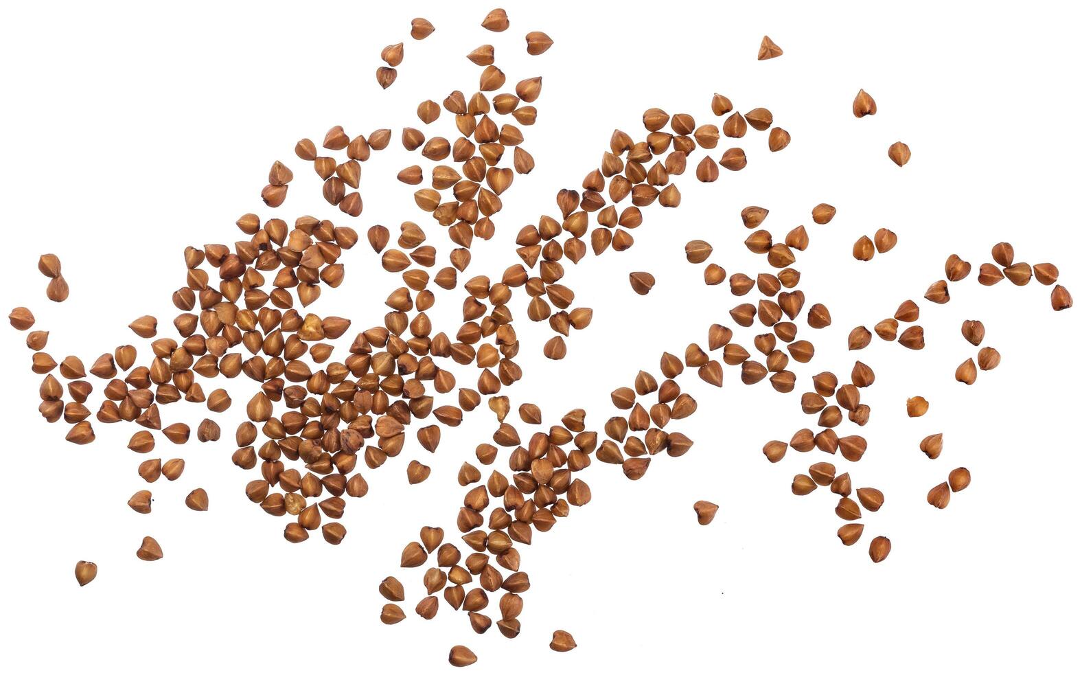 vicino su di grano saraceno cereali isolato su bianca sfondo. superiore Visualizza foto