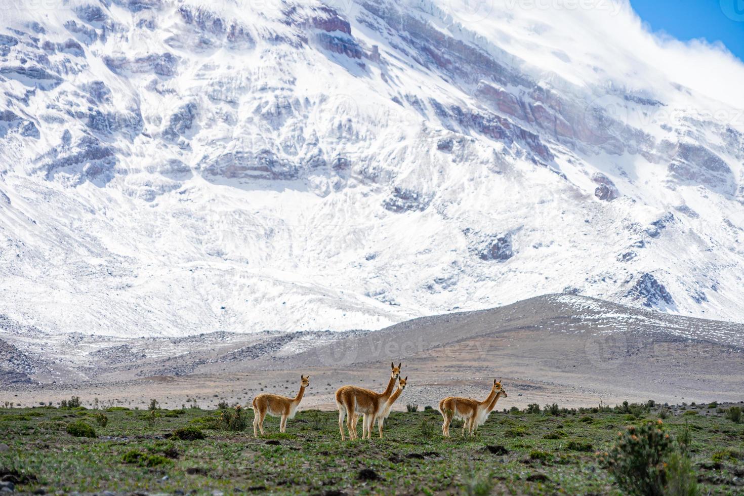 vulcano chimborazo, ecuador foto