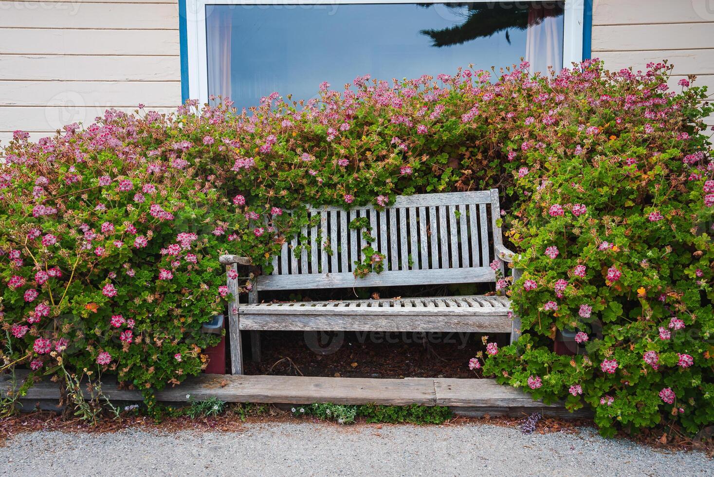 tranquillo di legno panchina tra fioritura arbusti, California costa foto