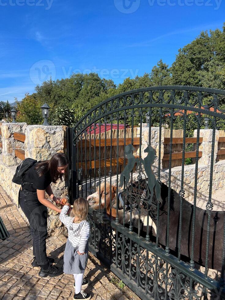 mamma con un' poco ragazza alimentazione un' pony dietro a un' metallo recinto nel il parco foto