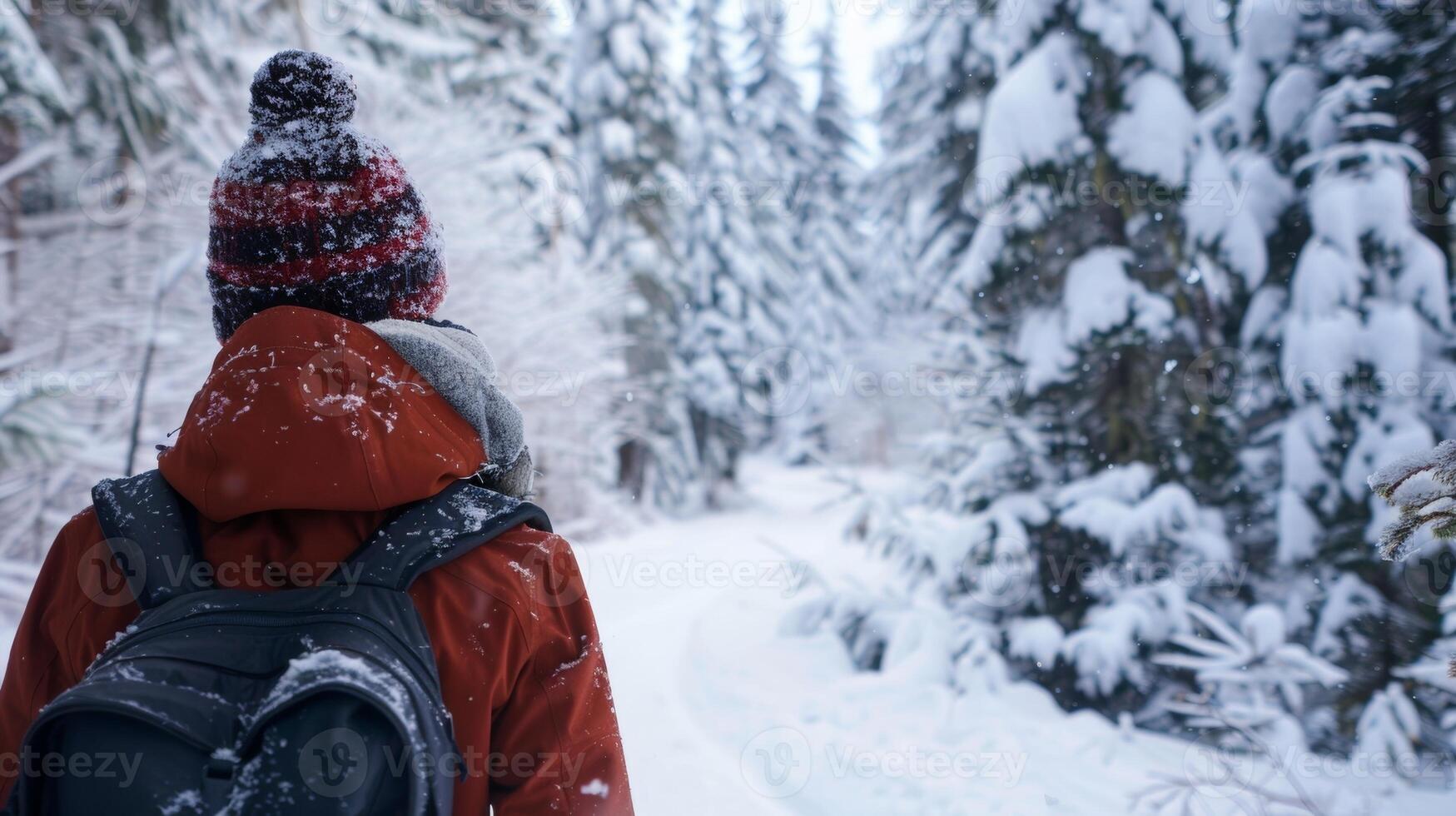 un' persona a piedi attraverso un' coperto di neve foresta in bundle su nel caldo inverno Ingranaggio su loro modo per un' a distanza sauna. foto