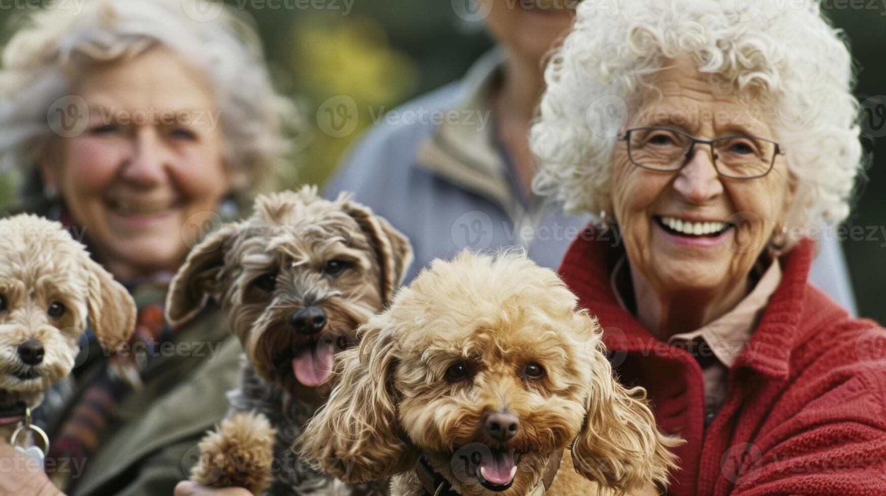 un' gruppo di gli anziani si riunirono nel un' parco ogni Tenere un' diverso razza di cane e sorridente contento foto