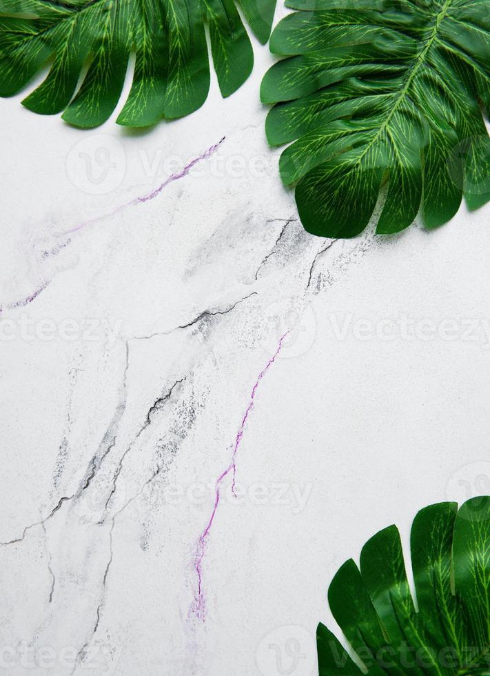 foglie di monstera su uno sfondo di marmo foto