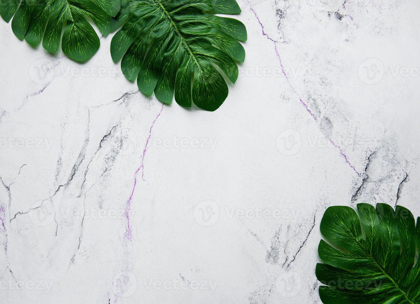 foglie di monstera su uno sfondo di marmo foto