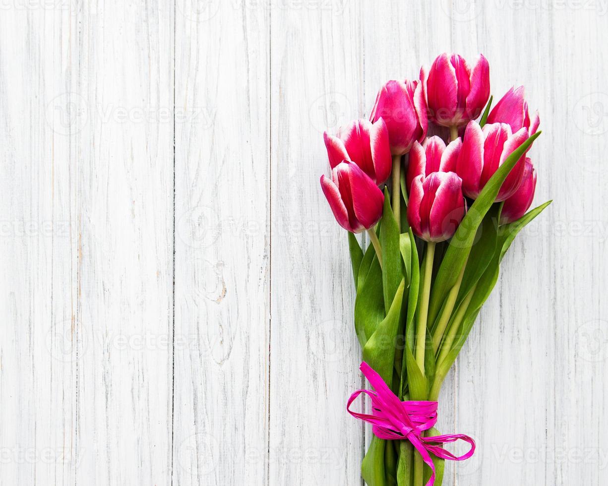 tulipani rosa primavera foto
