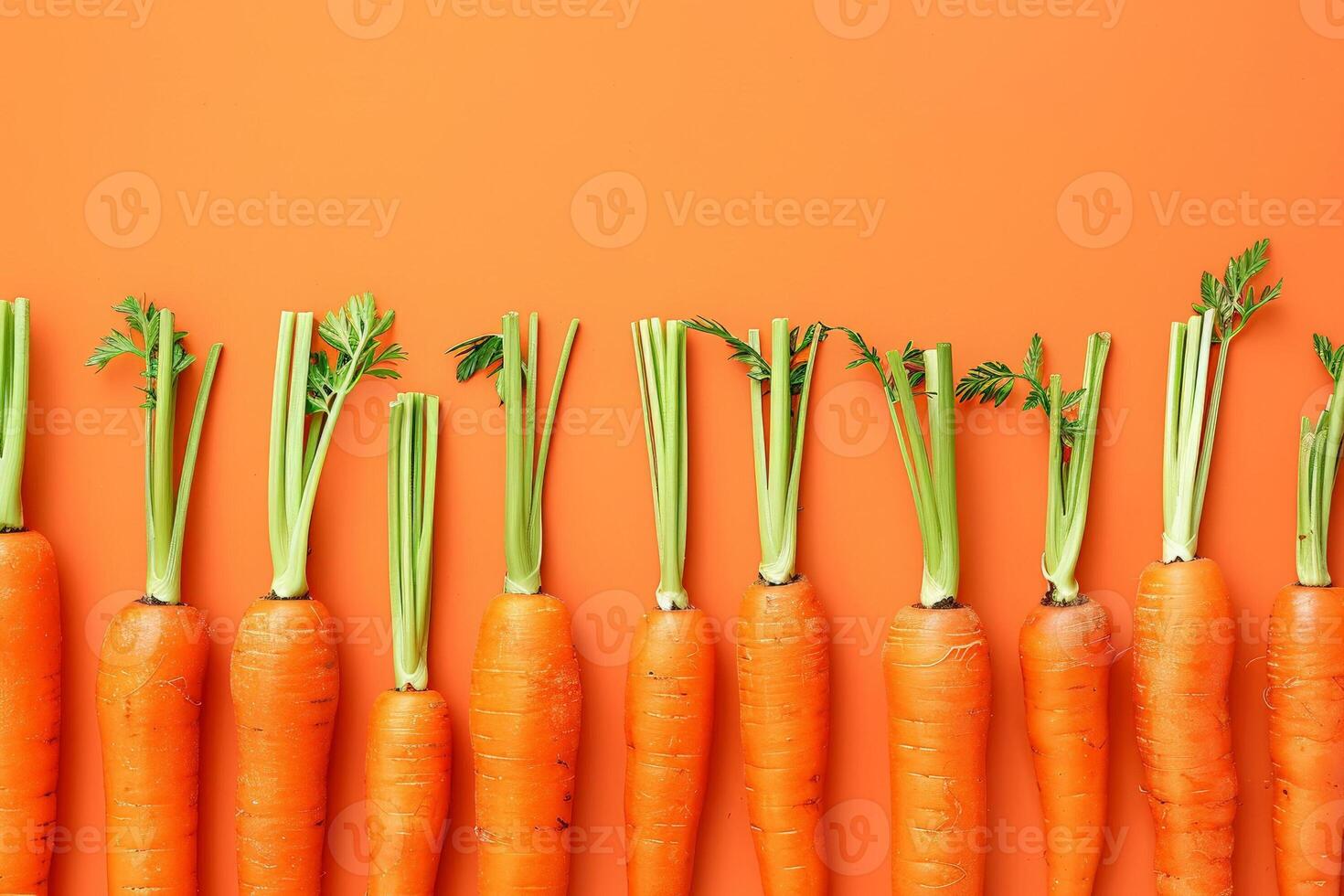 carote disposte nel un' pulito riga su un' pendenza arancia sfondo, minimalista e colorato foto