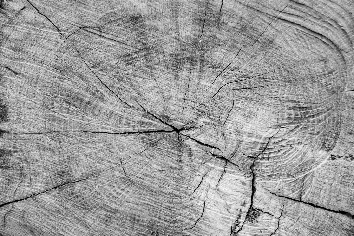 bella frattura di legno vecchia quercia, struttura naturale da vicino foto