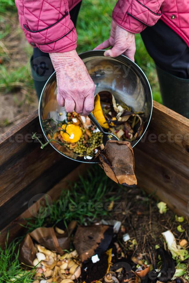 persona chi mettere nel un' composter alcuni cucina rifiuto piace la verdura, frutta, guscio d'uovo, caffè motivo nel ordine per ordinare e rendere bio fertilizzante foto