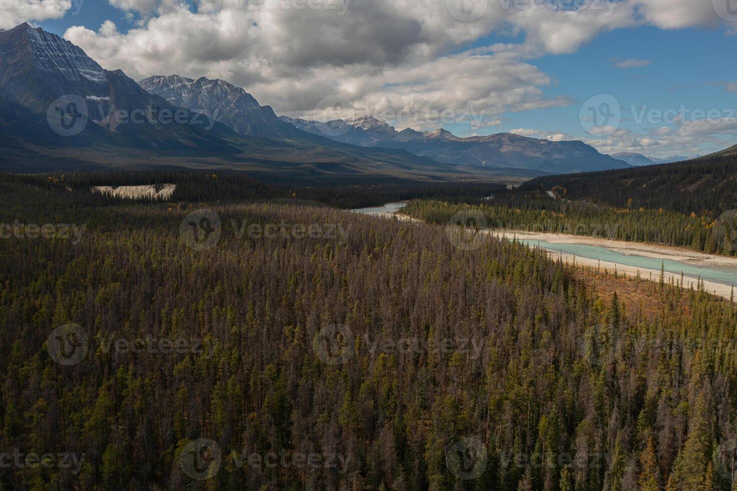 aereo Visualizza di il athabasca fiume con suo bluastra colore circondato di migliaia di alberi e alto montagne di il canadese montagne rocciose, su un' autunno giorno nel alberta, Canada. foto