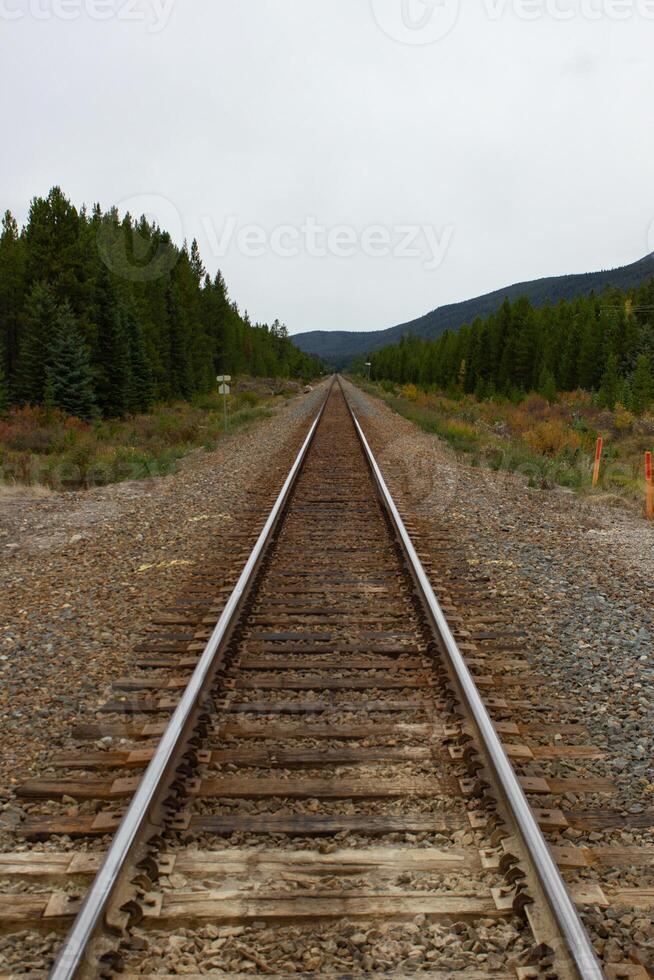 treno brani attraversamento il roccioso montagne di Canada foto