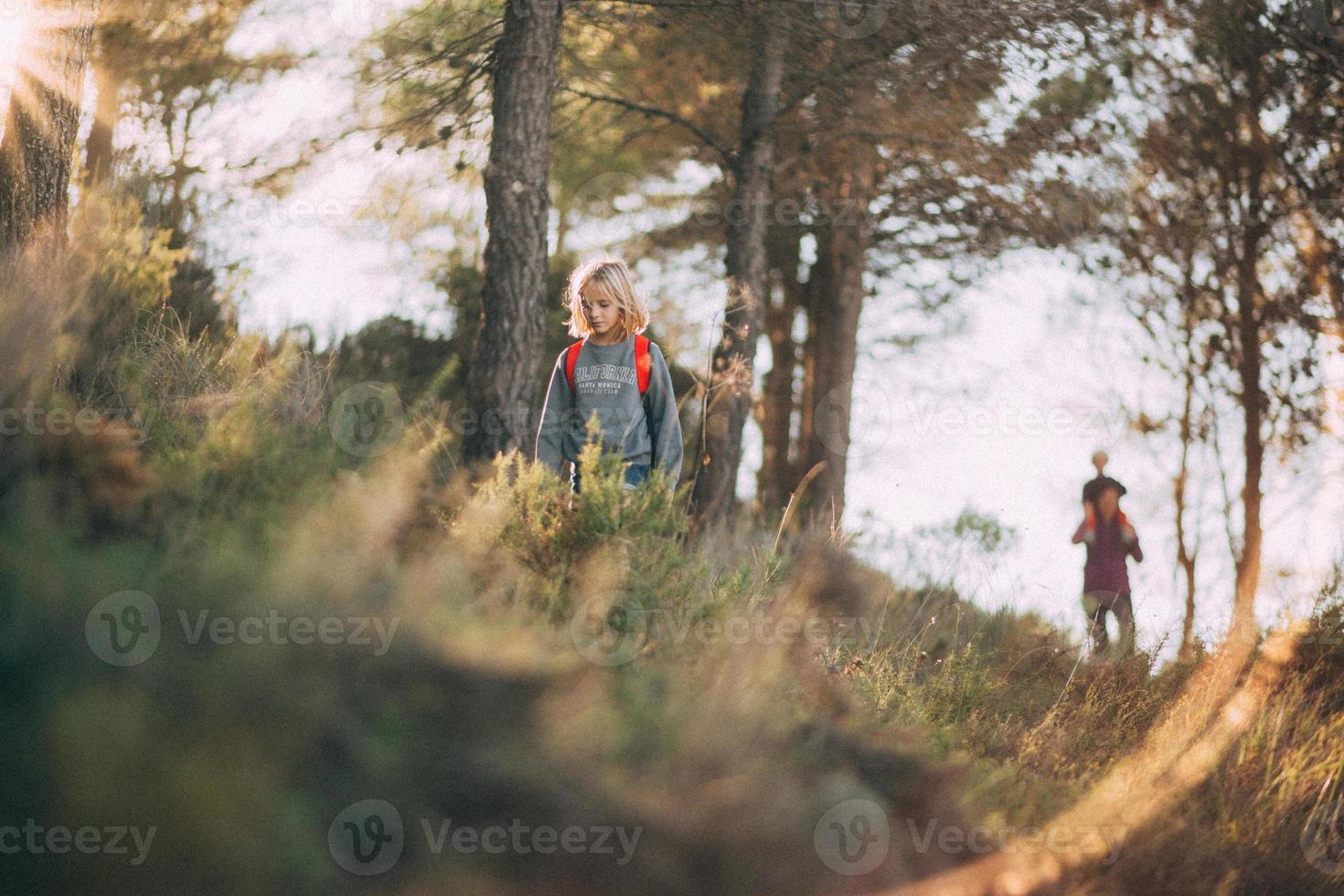 passeggiata al tramonto nel bosco foto