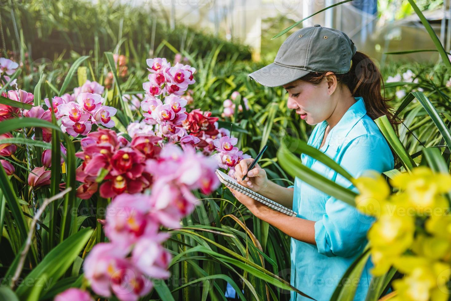 la ragazza nota i cambiamenti, la crescita dell'orchidea nel giardino. bellissimo sfondo di orchidee in natura foto
