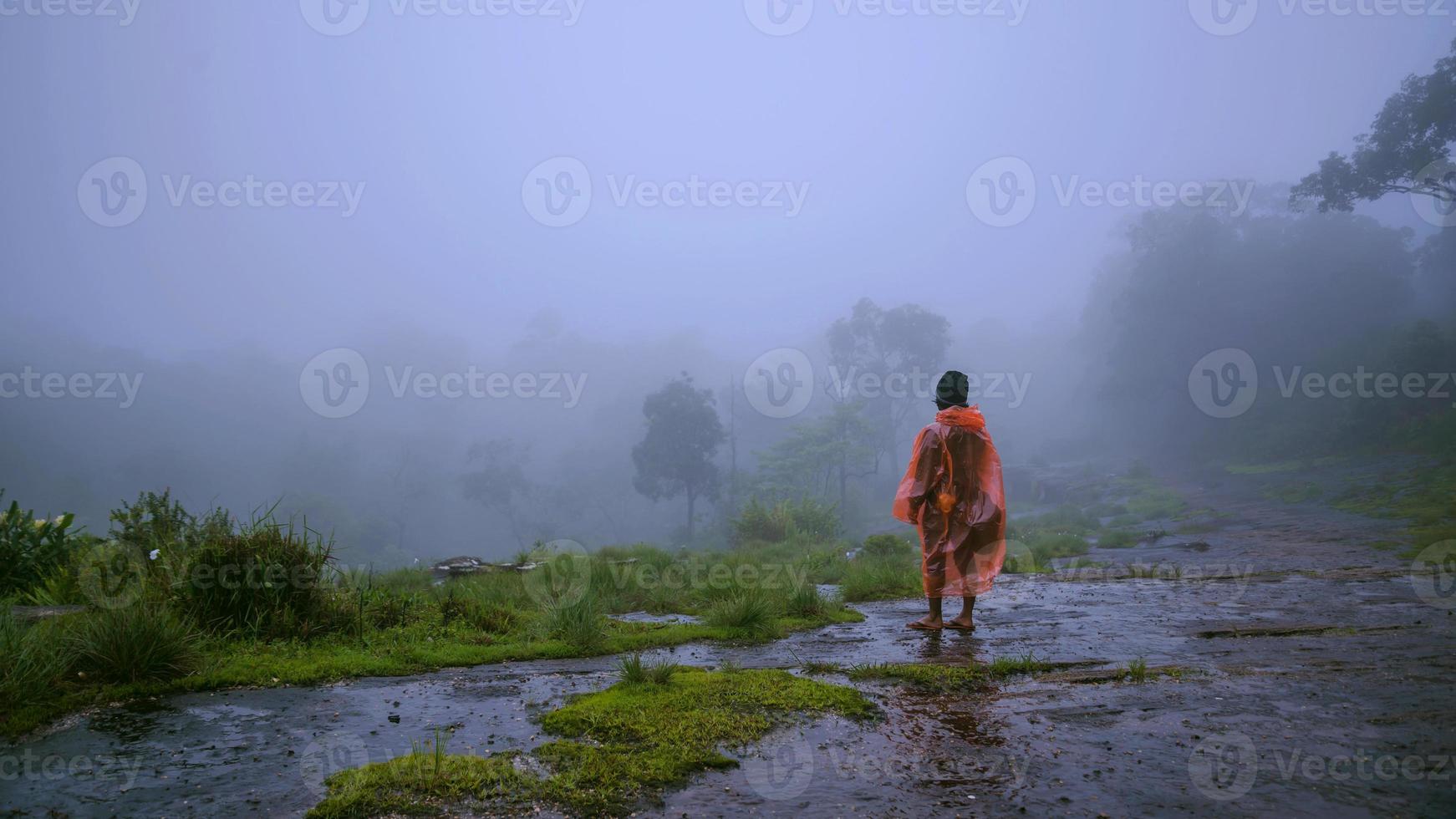 turista con impermeabile a piedi viaggio avventura natura nella foresta pluviale al parco nazionale di phu hin rong kla. viaggiare nella natura, viaggiare rilassati, viaggiare in thailandia, stagione delle piogge. foto