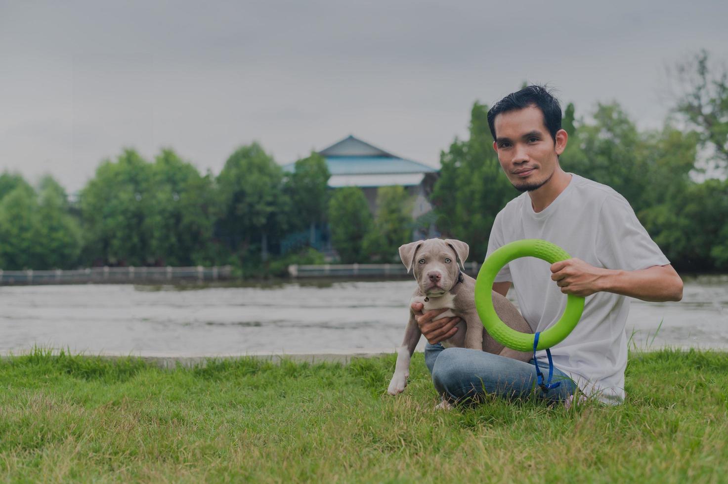 super papà che gioca con un simpatico cagnolino bullo americano foto