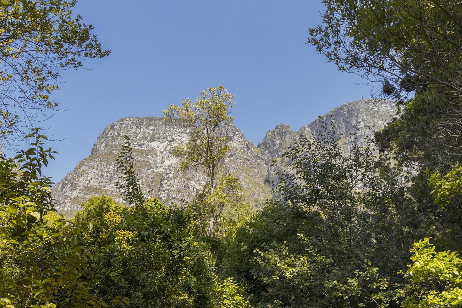 montagne nel parco nazionale di tablemountain a città del capo. foto