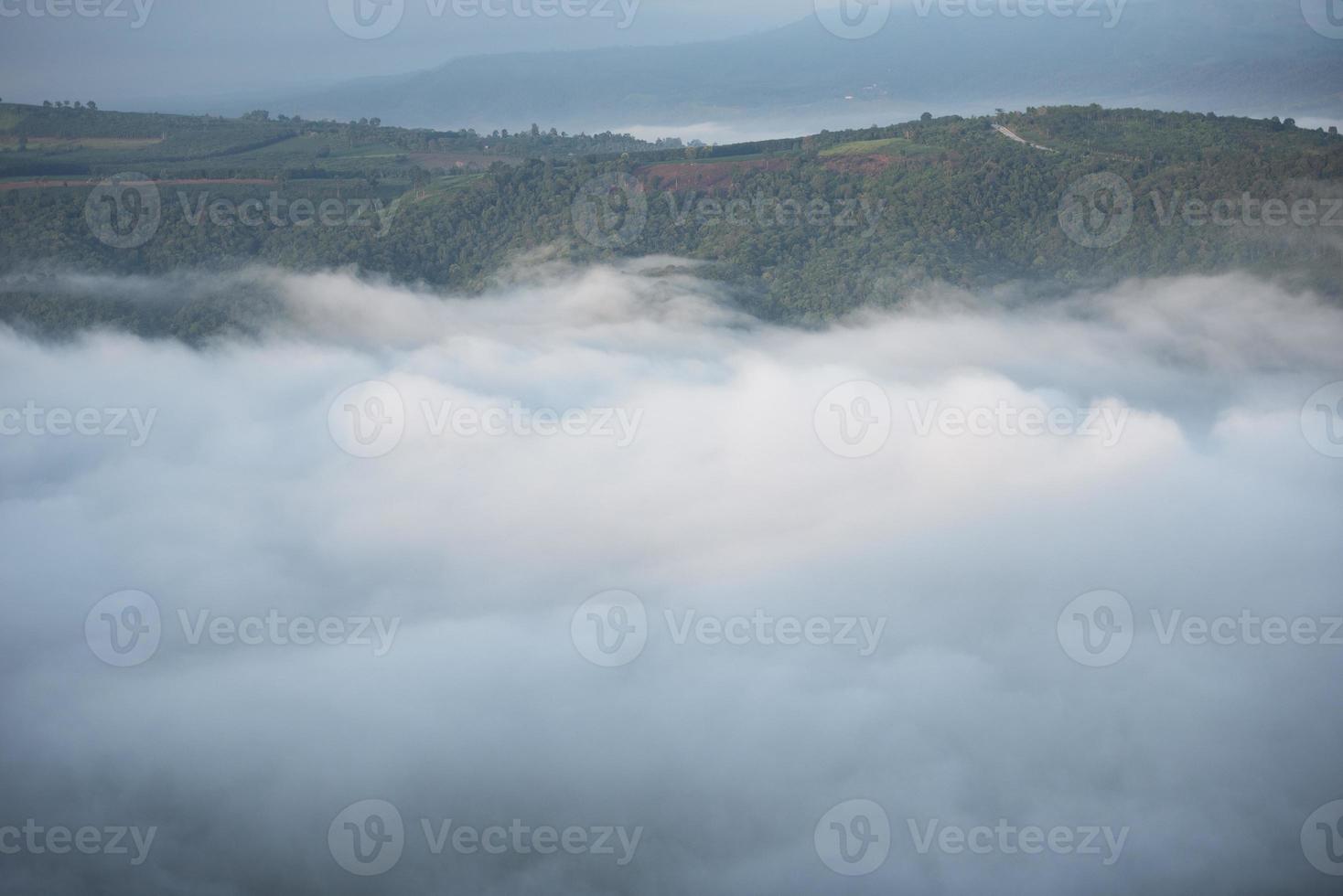 nebbia mattutina nebbiosa nella valle bellissima in thailandia asiatico - paesaggio nebbioso nebbia di montagna e vista sull'albero forestale in cima foto