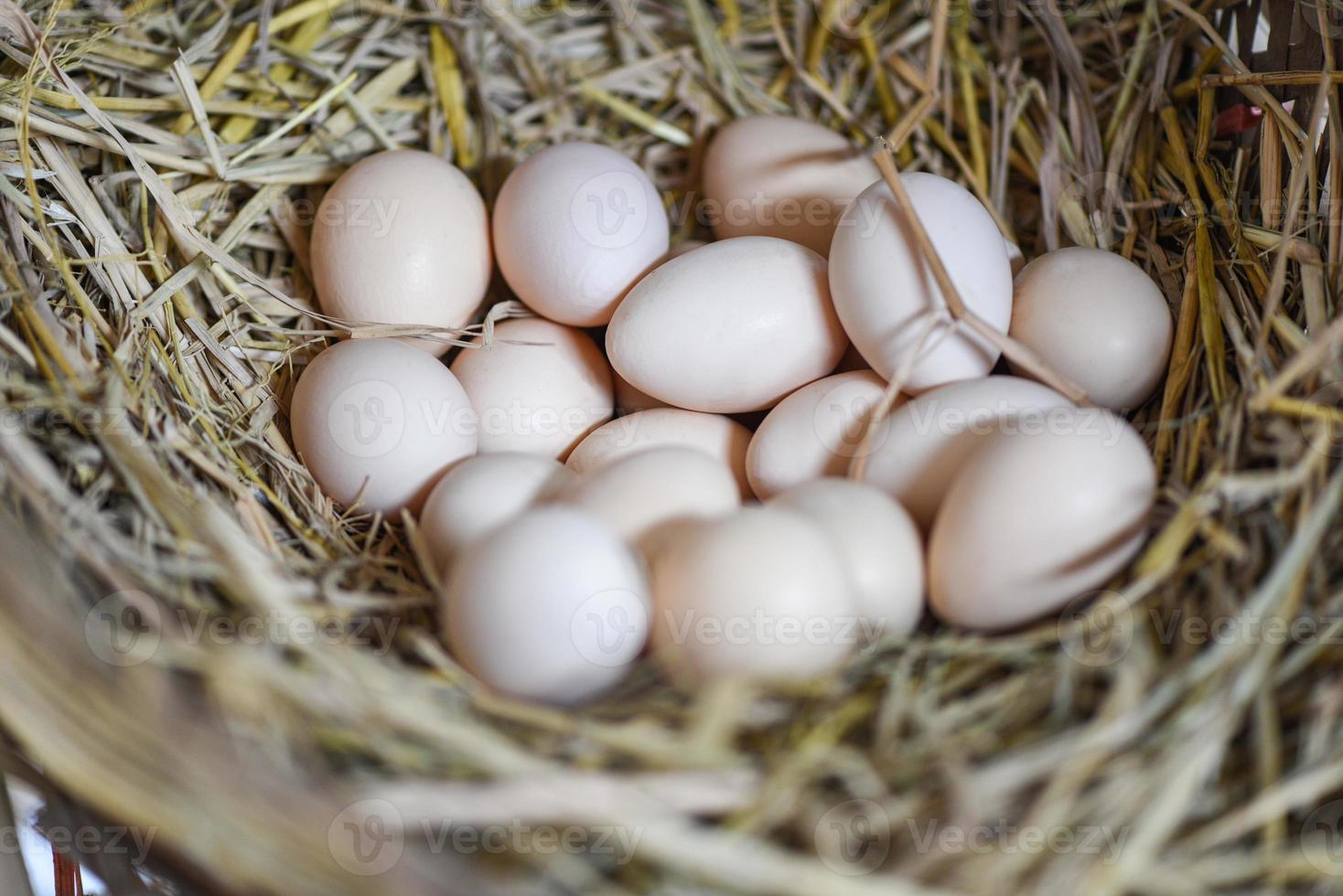 uova di Pasqua nel nido del cesto, uova fresche nella fattoria delle uova foto