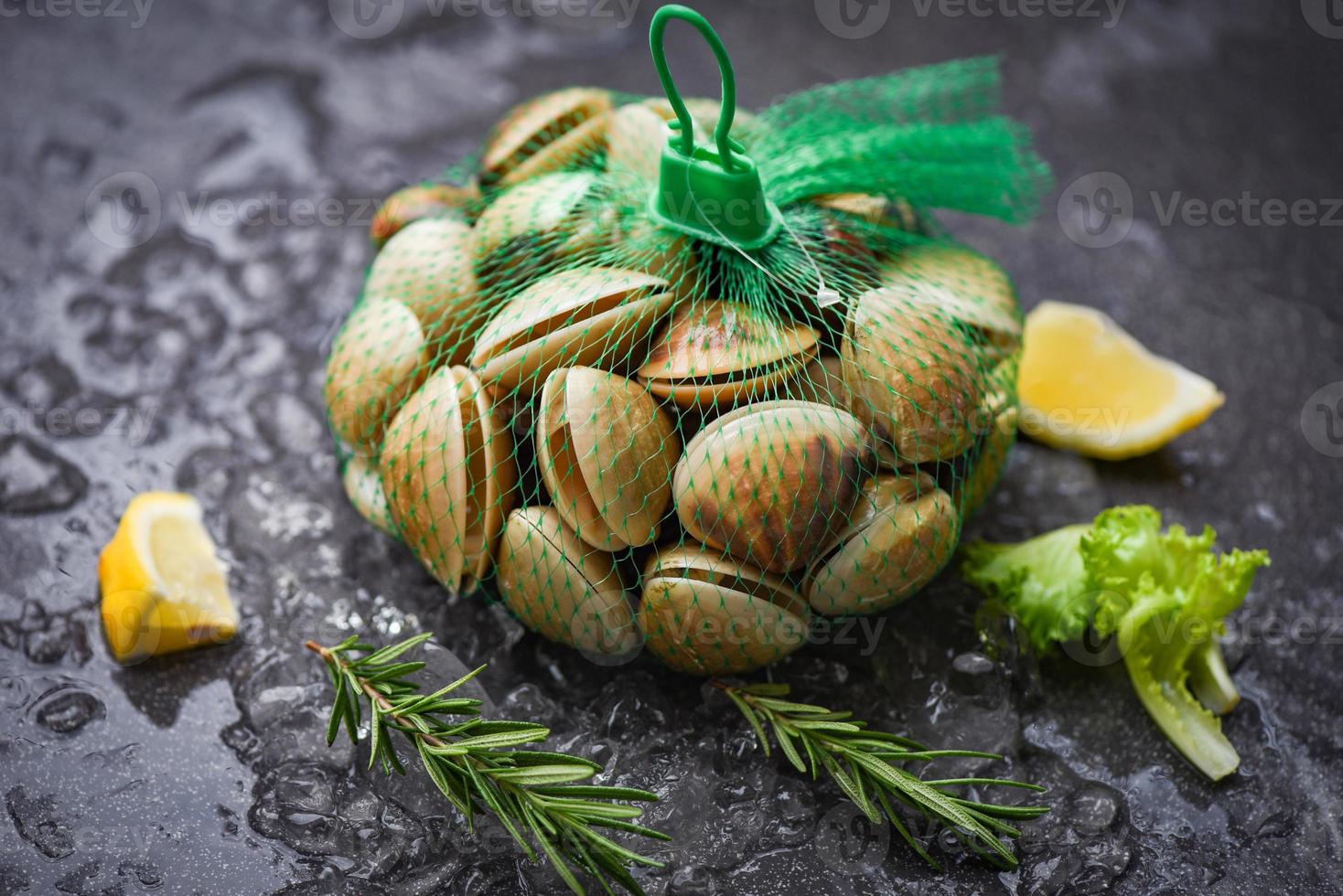 vongole fresche con conchiglia con ingredienti alle erbe per insalata - frutti di mare crostacei su ghiaccio congelati al ristorante , conchiglia di venere smaltata , vongole d' acqua salata foto