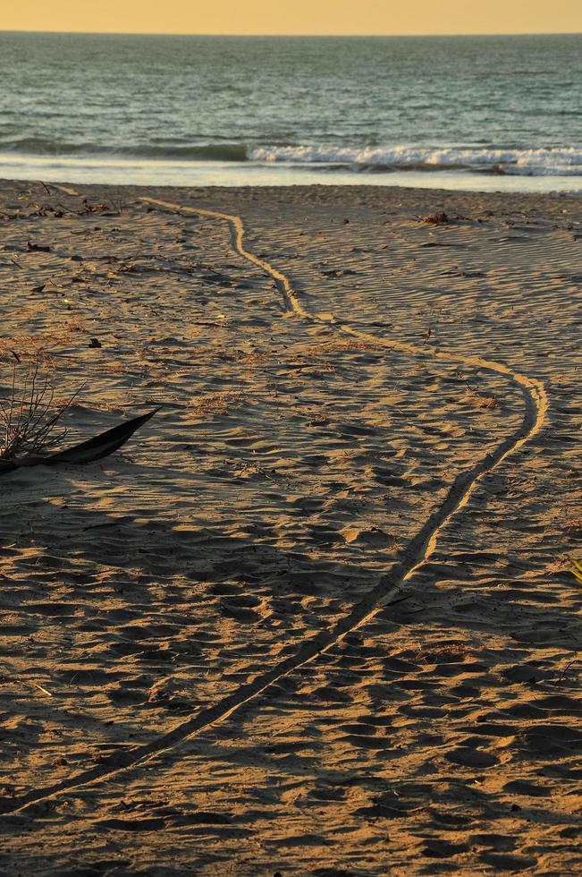 spiaggia al tramonto foto