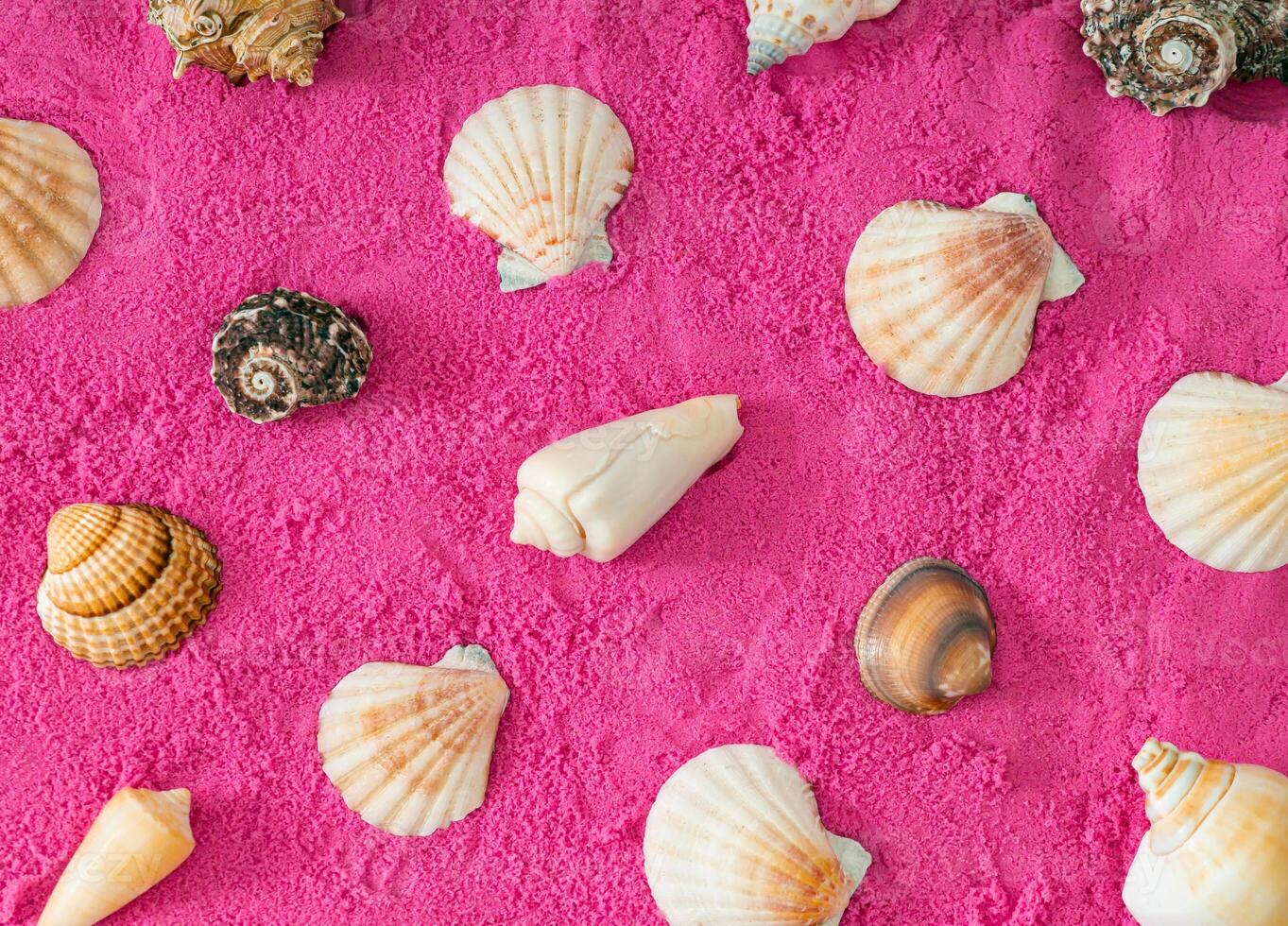 creativo surreale estate modello composizione fatto di vario mare conchiglie su rosa spiaggia sabbia sfondo. minimo concetto foto di estate vacanza. estate estetico. surreale natura esotico piatto posizione.