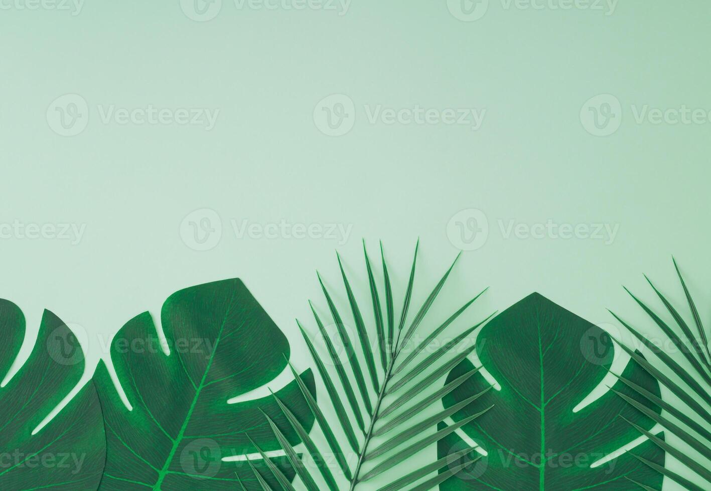 creativo di moda estate composizione fatto con tropicale verde palma le foglie su pastello verde sfondo con copia spazio. minimo concetto. natura disposizione. monocromatico piatto posizione. superiore di Visualizza. foto