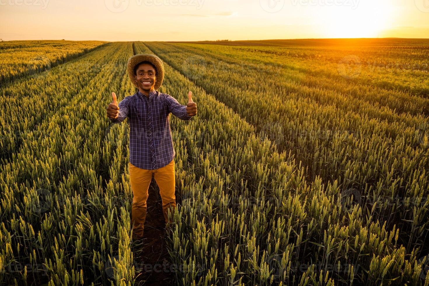 africano contadino è in piedi nel il suo in crescita Grano campo. lui è soddisfatto con progresso di impianti. foto