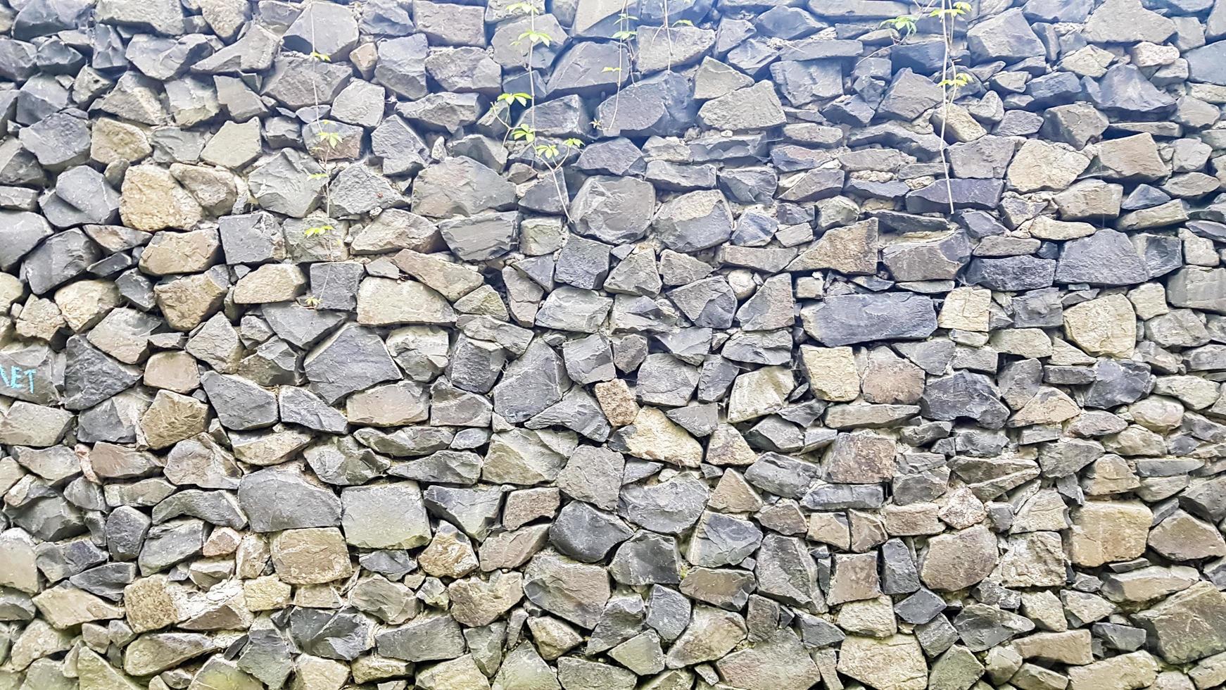 struttura del muro di pietra come sfondo o trama. modello colore grigio stile moderno design decorativo crepe irregolari superficie reale foto