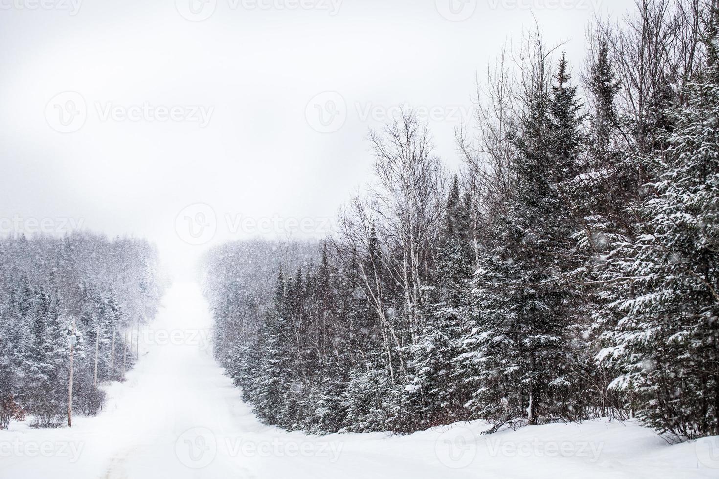 strada di campagna durante una tempesta di neve foto