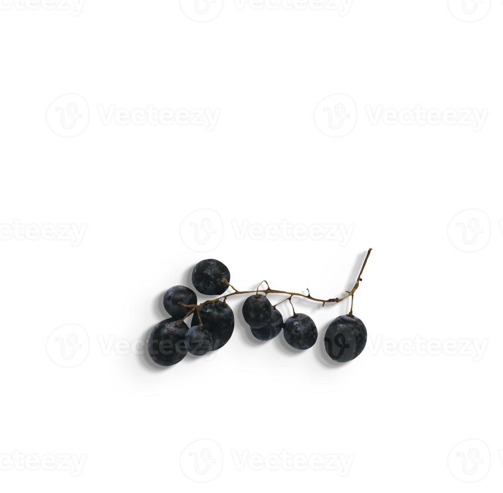 Vista ravvicinata di fresche uve viola scuro isolati su sfondo bianco. aggiunto spazio di copia per il testo. foto