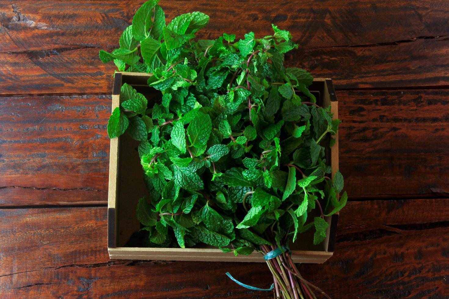 gruppo di menta fresca organica verde in cestino sopra la scrivania in legno rustico. menta piperita aromatica con usi medicinali e culinari foto