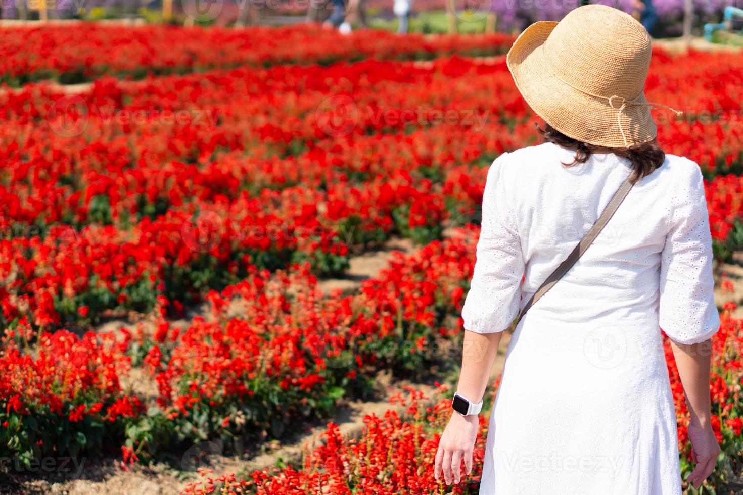 donna che indossa cappello di paglia e abito bianco che cammina in un campo di fiori rossi sotto il cielo blu in estate foto