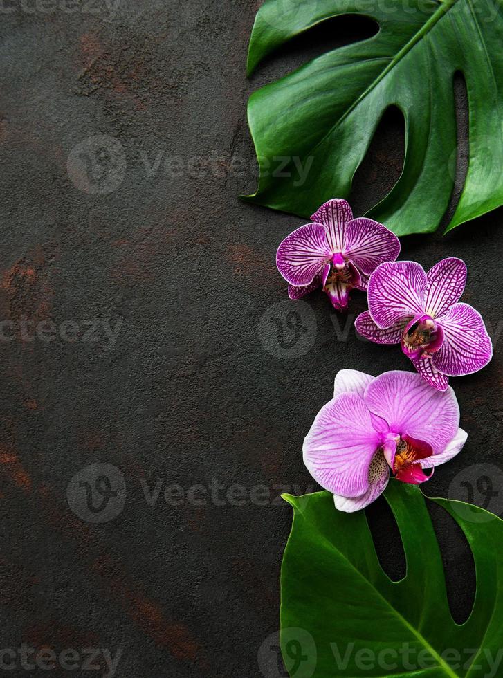 foglie tropicali monstera e fiori di orchidea foto