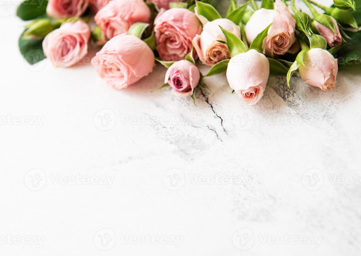 cornice di rose rosa foto