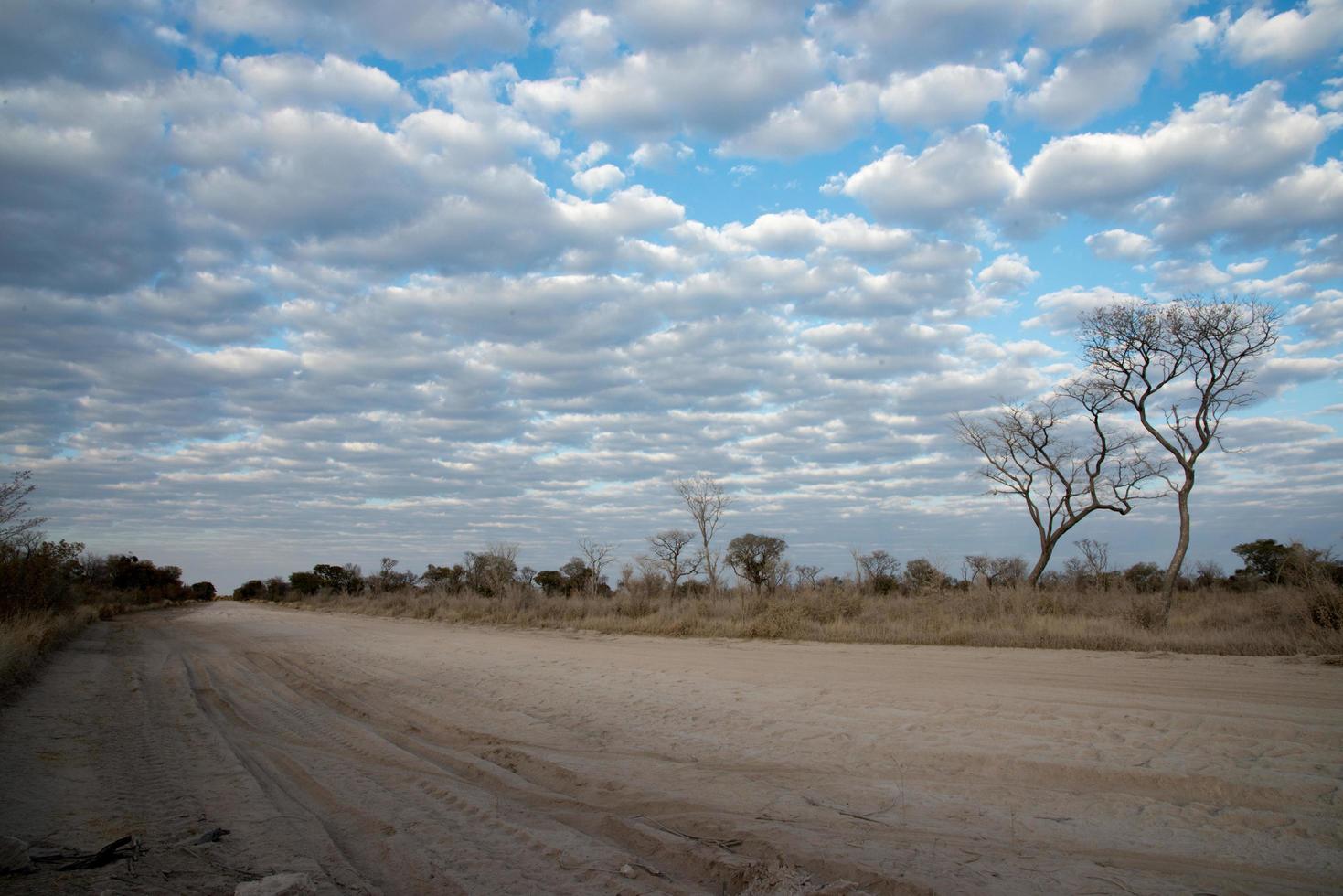 bellissimo paesaggio con una strada che attraversa il dolce. cielo nuvoloso. namibia foto