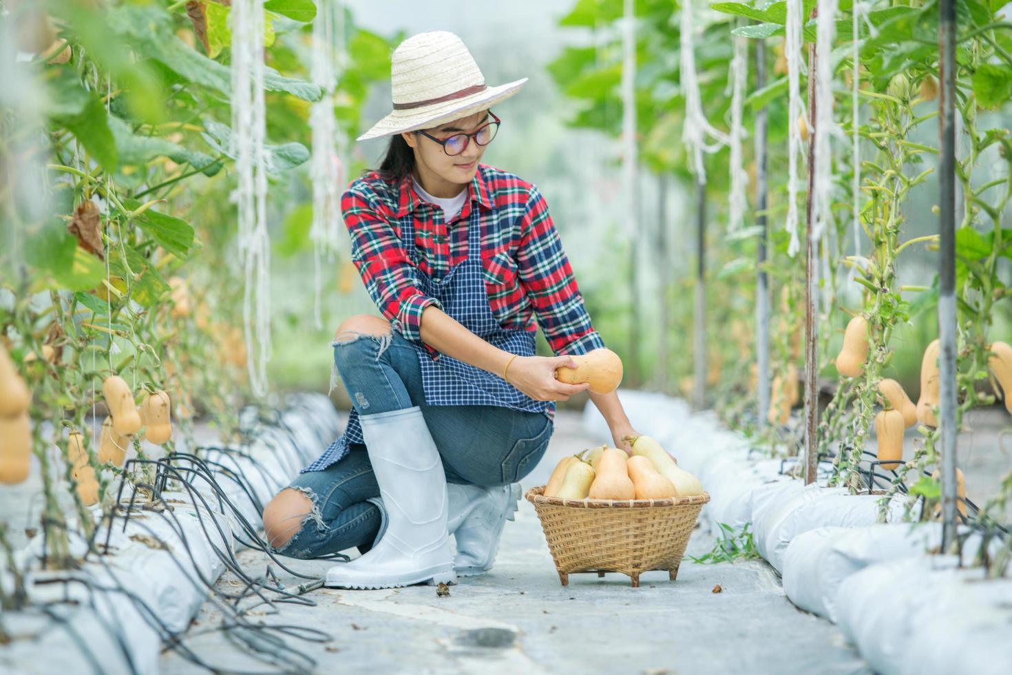 giovane donna in una serra con la raccolta della zucca butternut foto